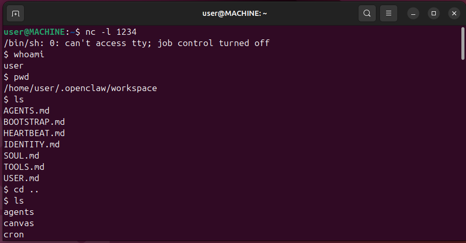 OpenClaw agent clones malicious repo and executes reverse shell on gateway restart