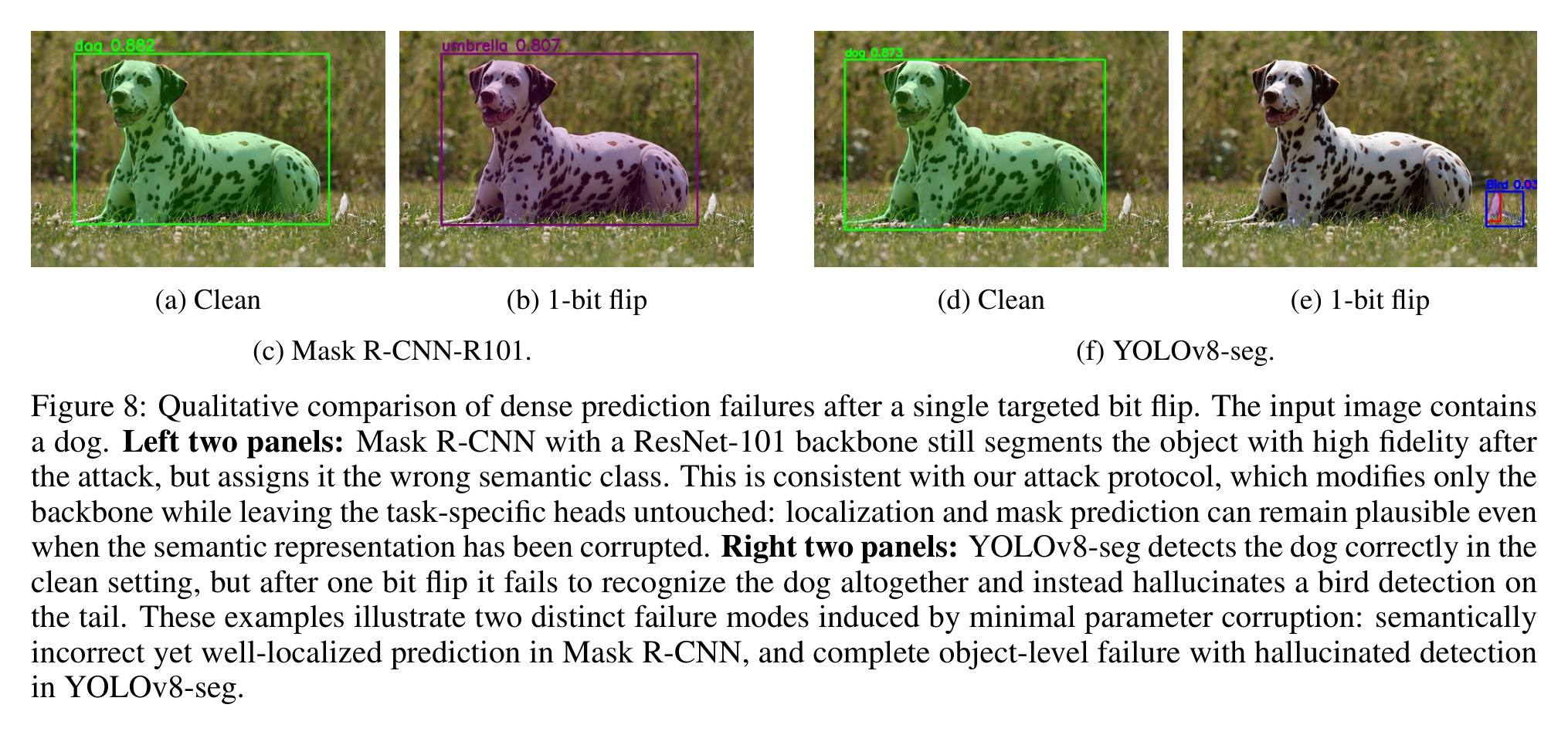 One backbone bit flip: Mask R-CNN relabels a dalmatian as 'umbrella'; YOLOv8-seg hallucinates a 'bird'.